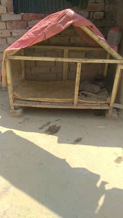 cage for sale jali ki gurantee