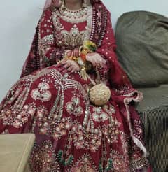 Bridal lehenga of Maria B