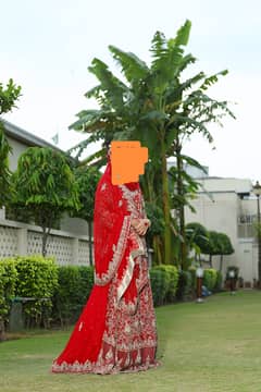 Bridal lehnga (barat)