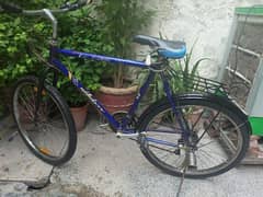 Phoenix bicycle in good 10/10 condition