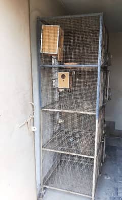 birds pinjara cage