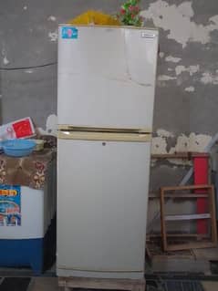 Orient Medium Size Fridge Freezer