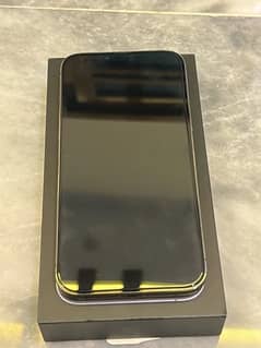 iPhone 13 Pro Max 256gb