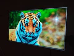 PEL 4K 52 inch display