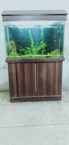 3 fit aquarium