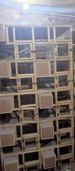 cage for finches