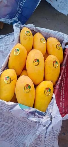 Multani Chunsa Mango Available