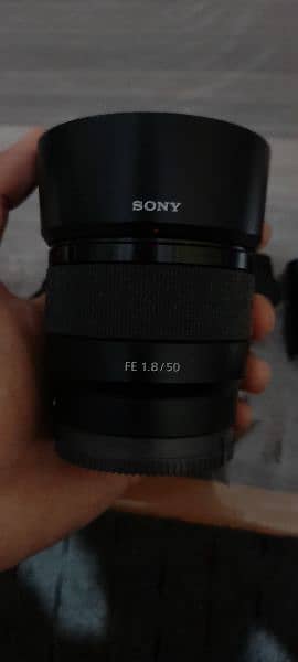 Sony A7iii, Gimbal, Lens 15