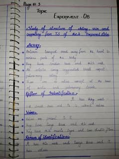 hand writting assignment work