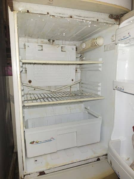 PEL Refrigerator 1