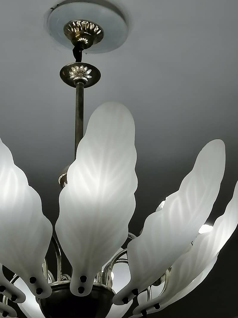 Snow White Leaves Chandelier 3