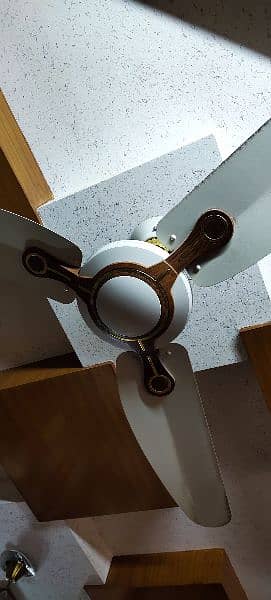 Ceiling fan 2