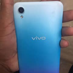 vivo