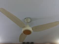 Ceiling fans in good condition