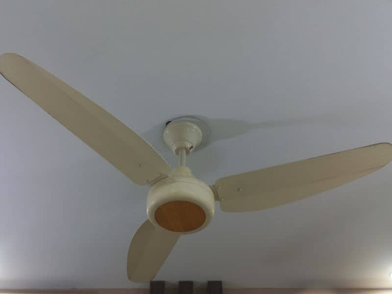 Ceiling fans in good condition 0