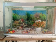 Aquarium for sale in good condition with oxygen moter, heater and pump