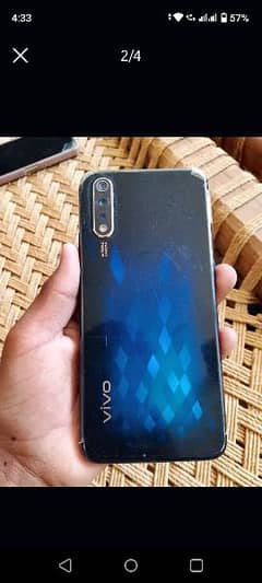 vivo