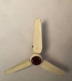 Ceiling fan