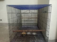 Big Parrot master cage