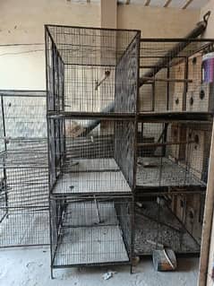 All cage And box for sale