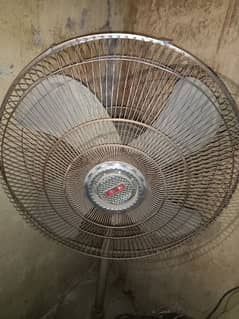 Royal Pedestal Fan