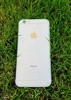 iPhone 6s iPhone 5 (Read Ad)