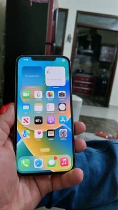 iphone 12 pro max PTA approved