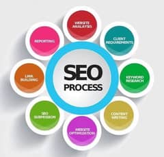 Urgent Need of SEO and Social media handling web designing person