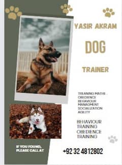 Dog trainer/ Dog Expert