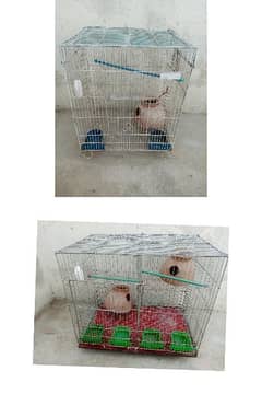 TWO CAGES FOR SALE