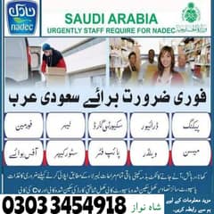 Job / Jobs in Saudi Arabia /Job Available