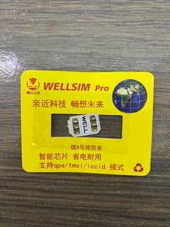 wellsim jv chip