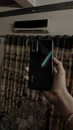 vivo