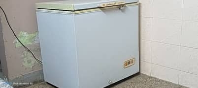 waves single door freezer