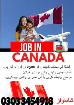 Company Visa, vacancies Available, Staff Required, Jobs In Canada