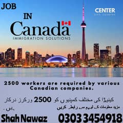 Jobs For male And female / Company Visa / Jobs In Canada