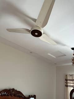 22 ceiling fans