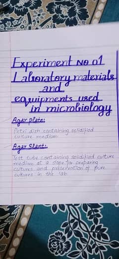 providing top of the notch handwriting assignment work