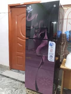 Pel Glass Door Refrigerator/fridge