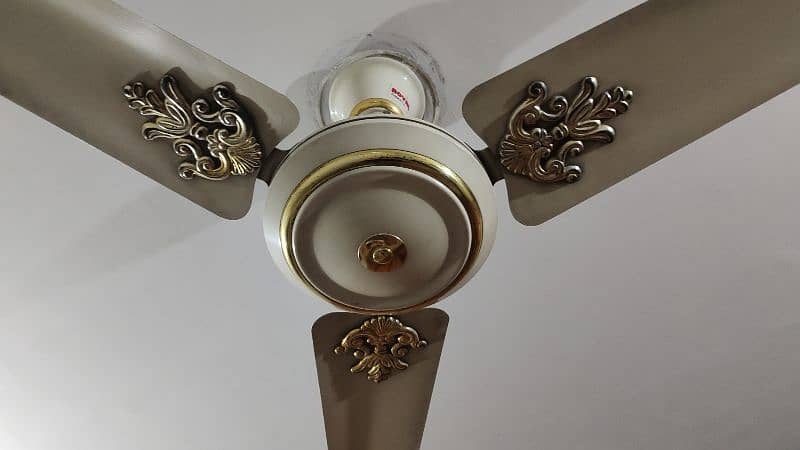 Ceiling Fans fan 99.9% Copper winding 6