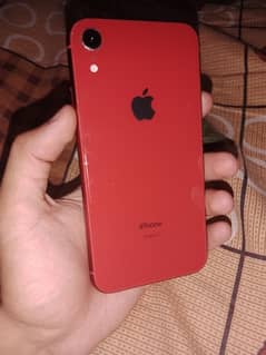 Iphone XR 64gb