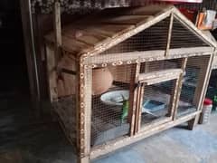 3 Australian parrots with wooden cage