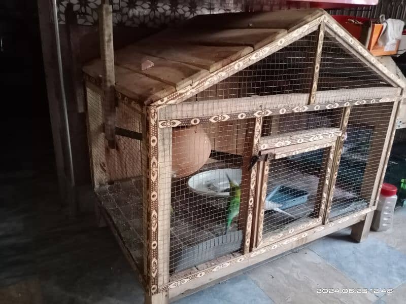 3 Australian parrots with wooden cage 0