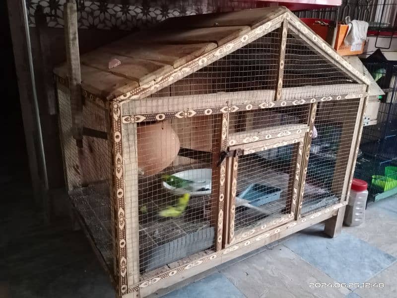 3 Australian parrots with wooden cage 1