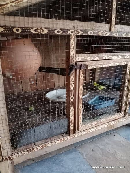 3 Australian parrots with wooden cage 3