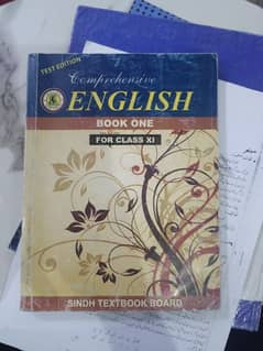 class 11 Sindh text book board  (books are in rough condition )