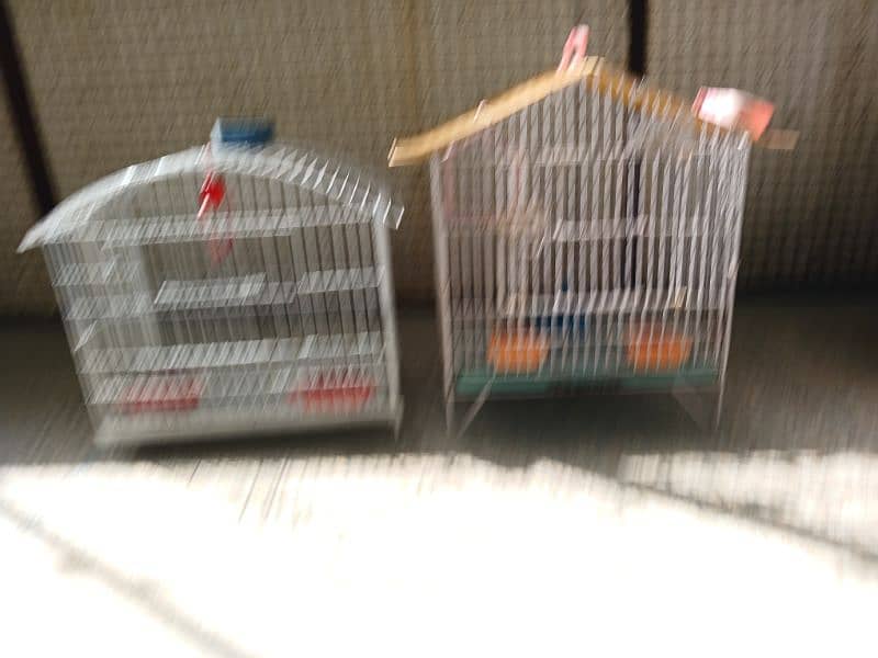 chick's and birds  small cages two loot sale 1