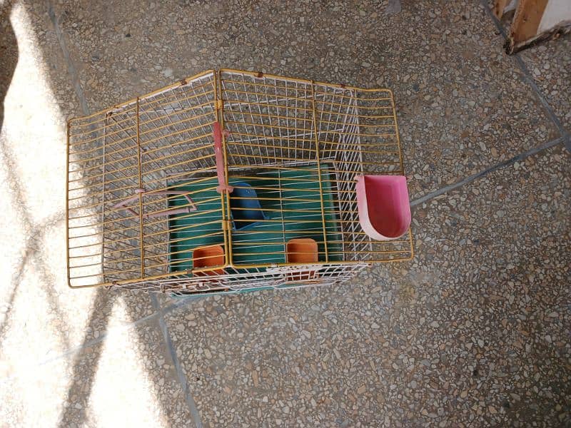 chick's and birds  small cages two loot sale 2