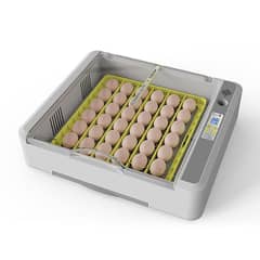 HHD New 36 Eggs Mini Fully Automatic Incubator Farm Chicken Bird Pige