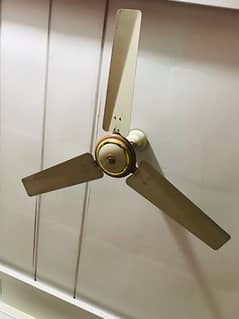 wall/Ceiling Fan